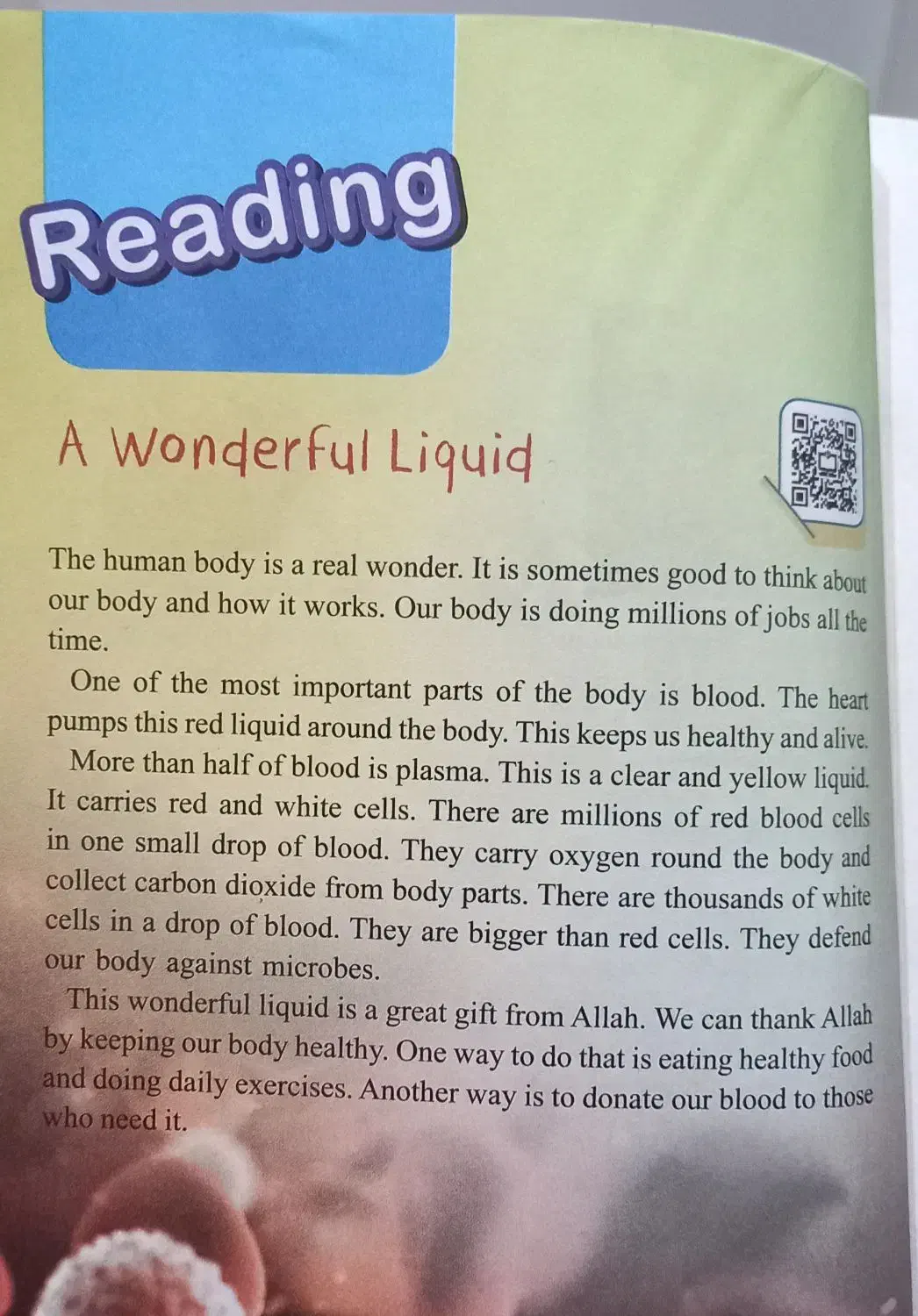 معلم خصوصی زبان|خدمات آموزشی|تهران, هروی|دیوار