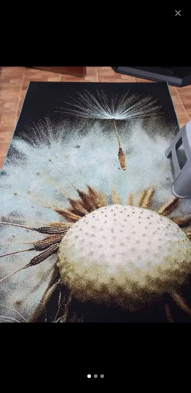 دوعددقالیچه|فرش|لنگرود, |دیوار