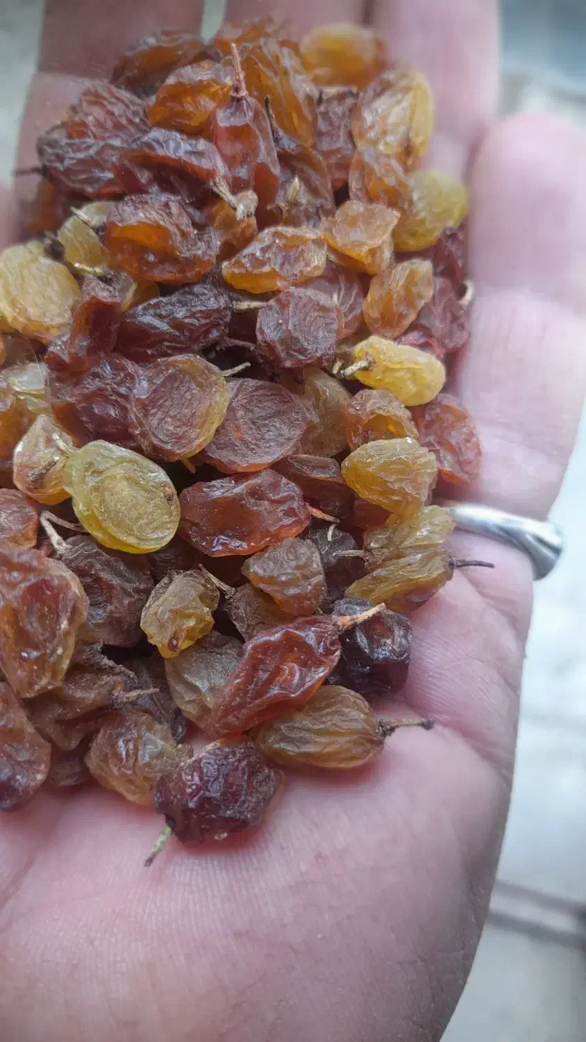 کشمش سبز وبادام|خوردنی و آشامیدنی|جونقان, |دیوار