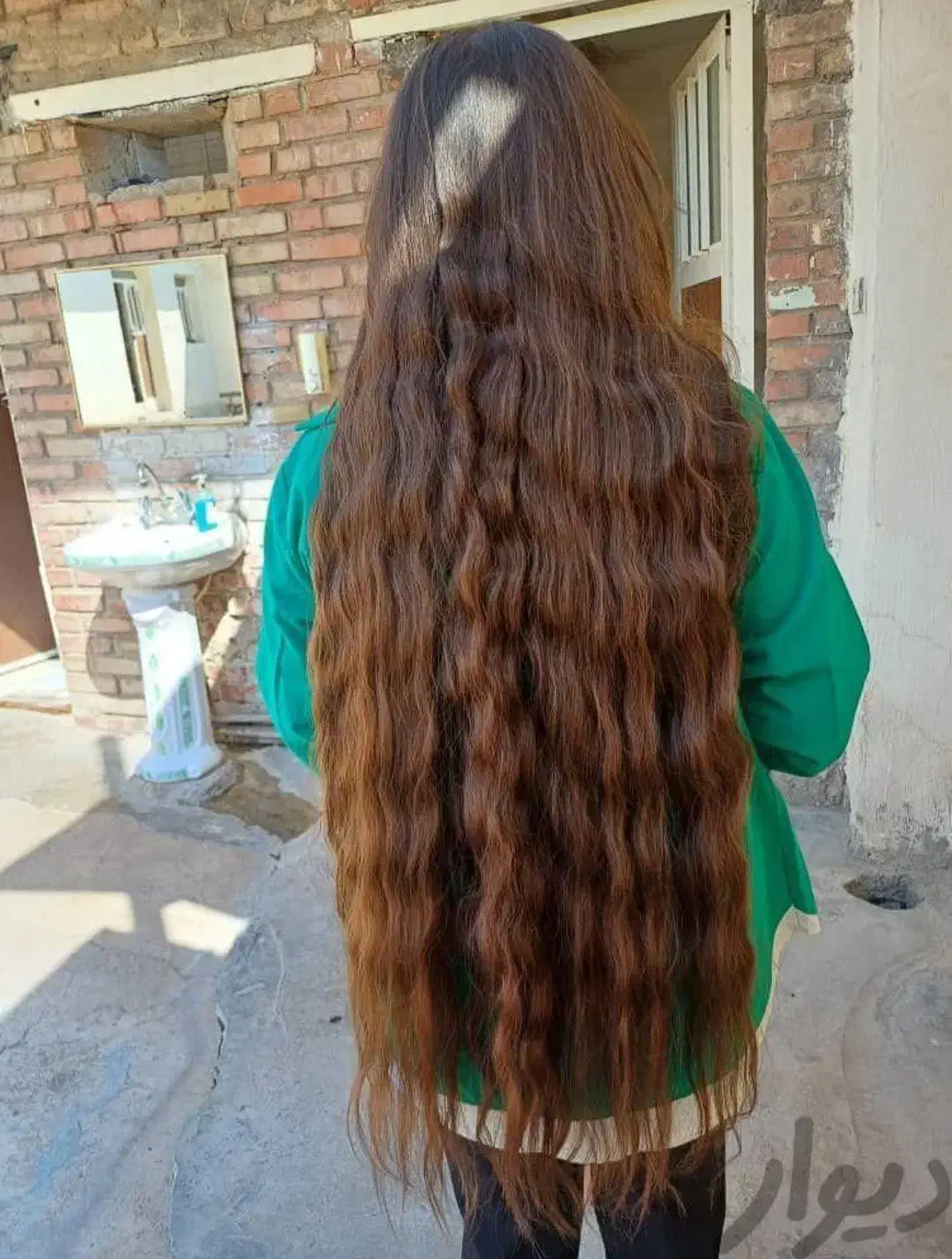 فروش مو (خریدارمو و صادرکننده موهای خام ورنگی)|آرایشی، بهداشتی، درمانی|دوگنبدان, |دیوار