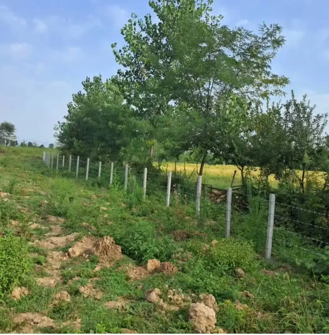 پایه بتنی فنسی|مصالح و تجهیزات ساختمان|رضوانشهر, |دیوار