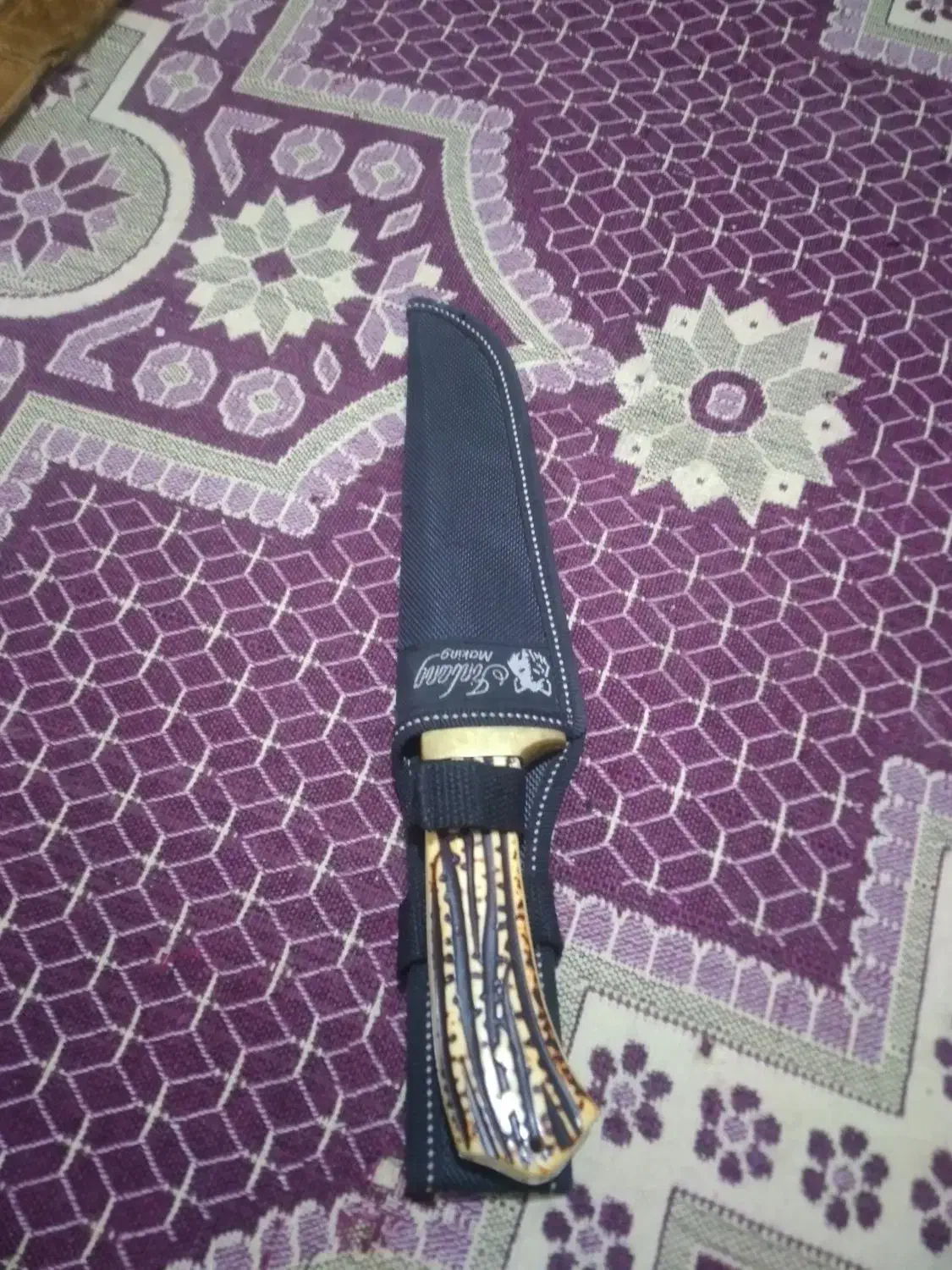 چاقو قلاف دار|کوهنوردی و کمپینگ|بندر گناوه, |دیوار