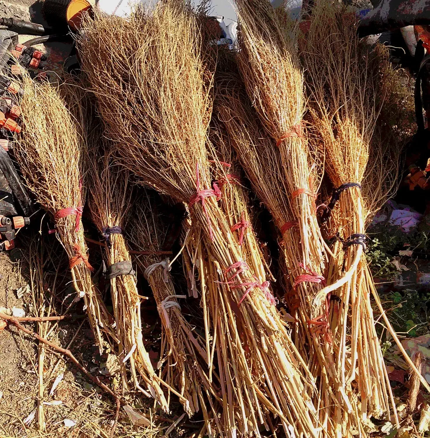 جارو حیاط|لوازم نظافت|ملکان, |دیوار