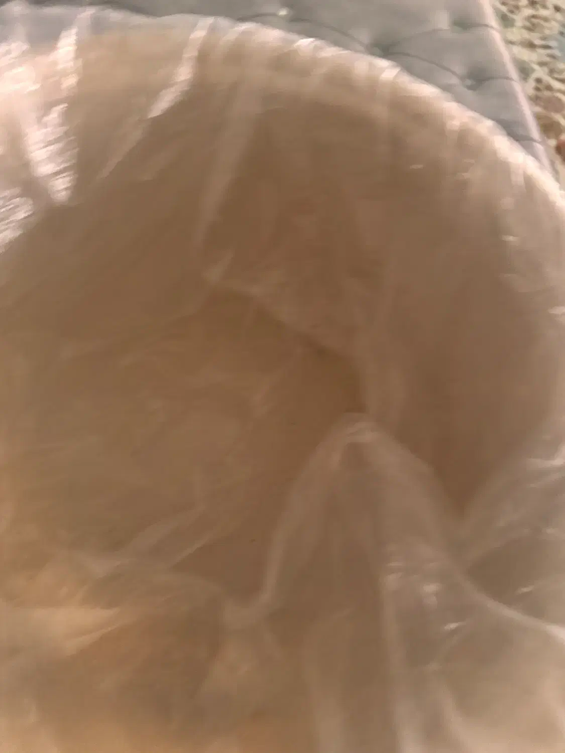 پلوپز۱۲نفره|سایر لوازم برقی|اردبیل, |دیوار