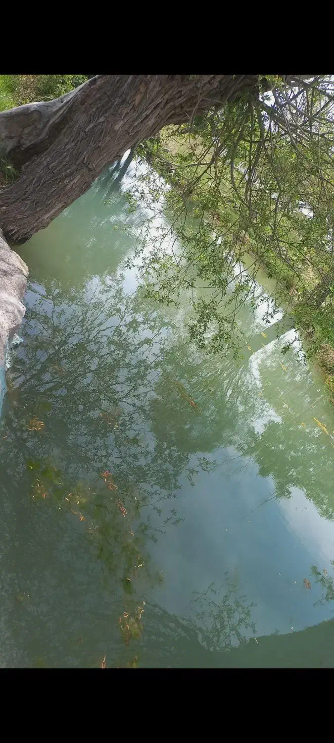 باغ۷۰۰متری|فروش زمین و ملک کلنگی|شبستر, |دیوار