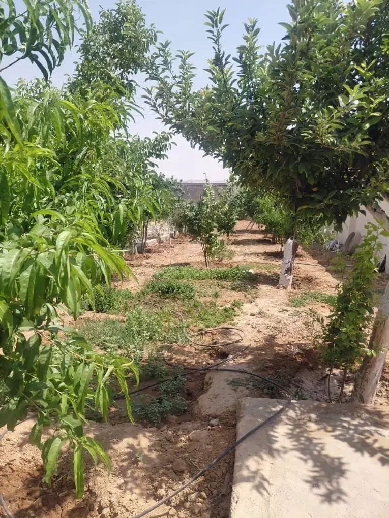 باغ ۱۰۰۰ متری زیر قیمت مجهز به آب شرب و برق|فروش زمین و ملک کلنگی|شیراز, فضل‌آباد|دیوار