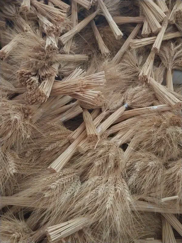 خوشه گندم|گل و گیاه طبیعی|فردیس, نگارستان|دیوار