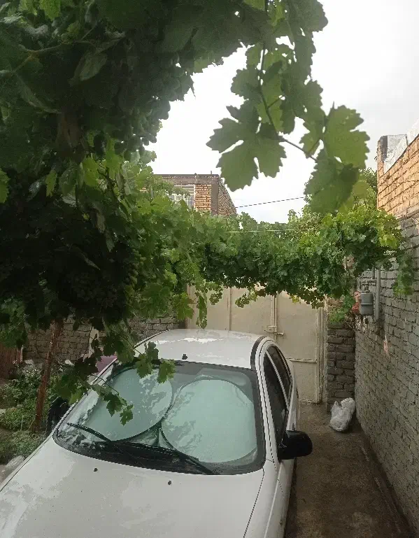 خانه ویلایی فروشی|فروش خانه و ویلا|فریمان, |دیوار