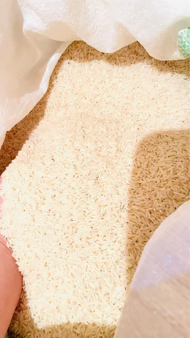 برنج طارم هاشمی درجه ۱|خوردنی و آشامیدنی|محمودآباد, |دیوار