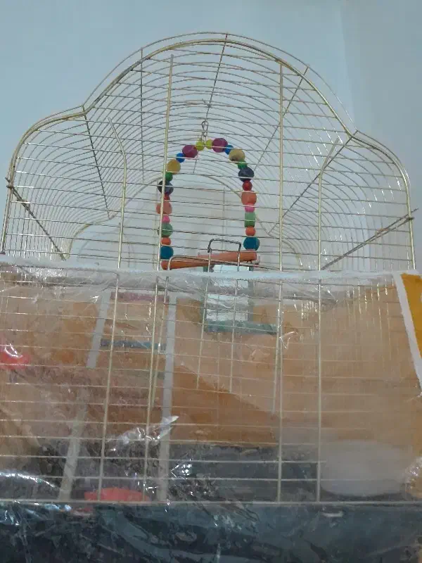 قفس عروس وقناری|لوازم جانبی حیوانات|مشهد, حضرت حجت|دیوار