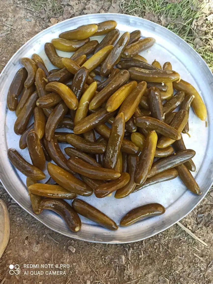 فروش ویژه خیارشور (ممتاز)یک|خوردنی و آشامیدنی|مشهد, کوشک مهدی|دیوار