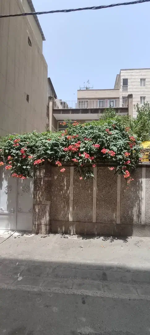 فروش ملک کلنگی ۱۰۸ متر در ابعاد۶در ۱۸ در تهران‌نو|فروش زمین و ملک کلنگی|تهران, تهران‌نو|دیوار