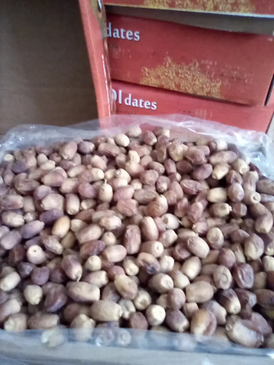 فروش خرمای زاهدی با کیفیت کیلویی ۱۷۰۰۰۰ در رشت|خوردنی و آشامیدنی|رشت, انصاری|دیوار