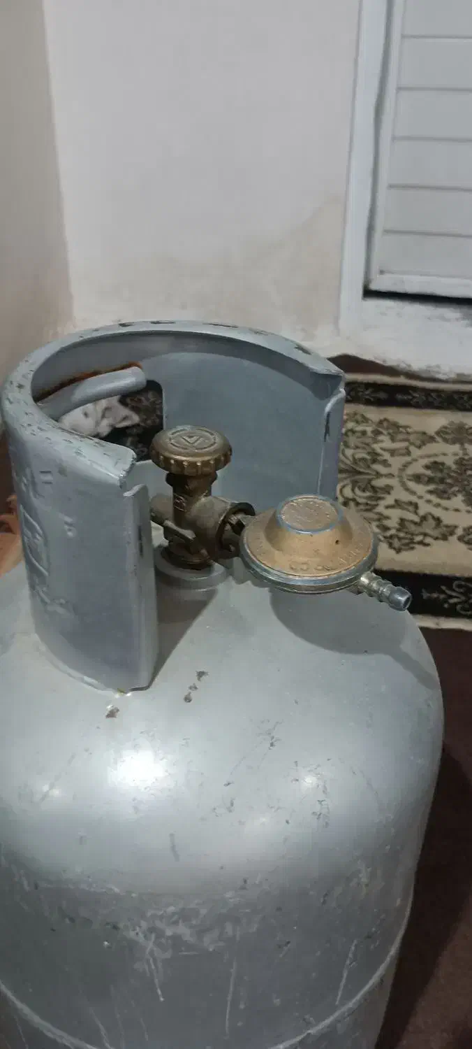 کپسول گاز|اجاق گاز و لوازم برقی پخت‌وپز|ایلام, |دیوار