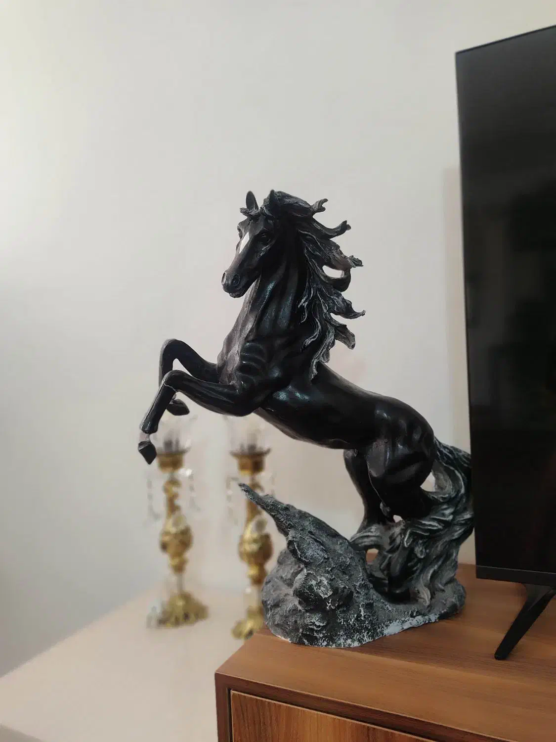 اسب|اسب و تجهیزات اسب‌سواری|مراغه, |دیوار