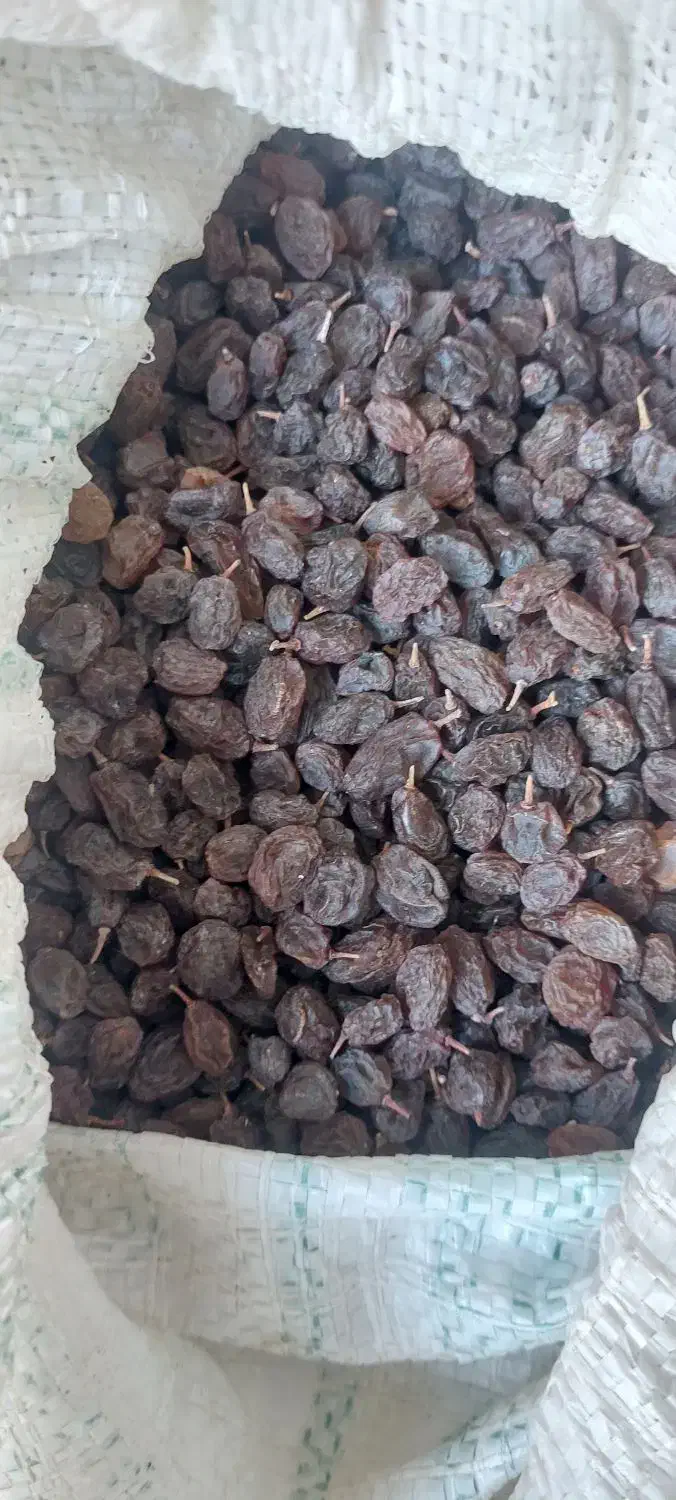 کشمش|خوردنی و آشامیدنی|رشت, ترمینال|دیوار