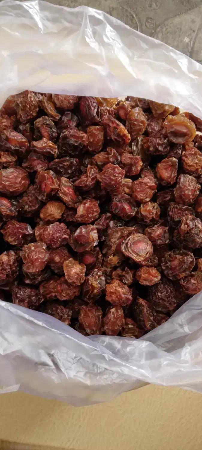 آلوچه ترش تازه|خوردنی و آشامیدنی|مسجد سلیمان, |دیوار