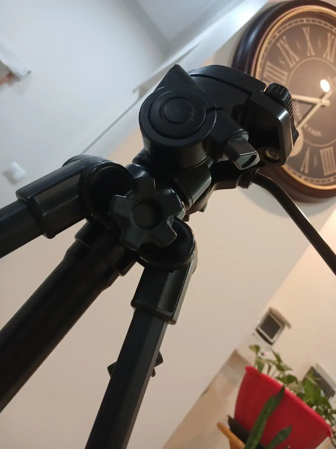 پایه دوربین|دوربین عکاسی و فیلم‌برداری|پاکدشت, پاکدشت (مامازند)|دیوار