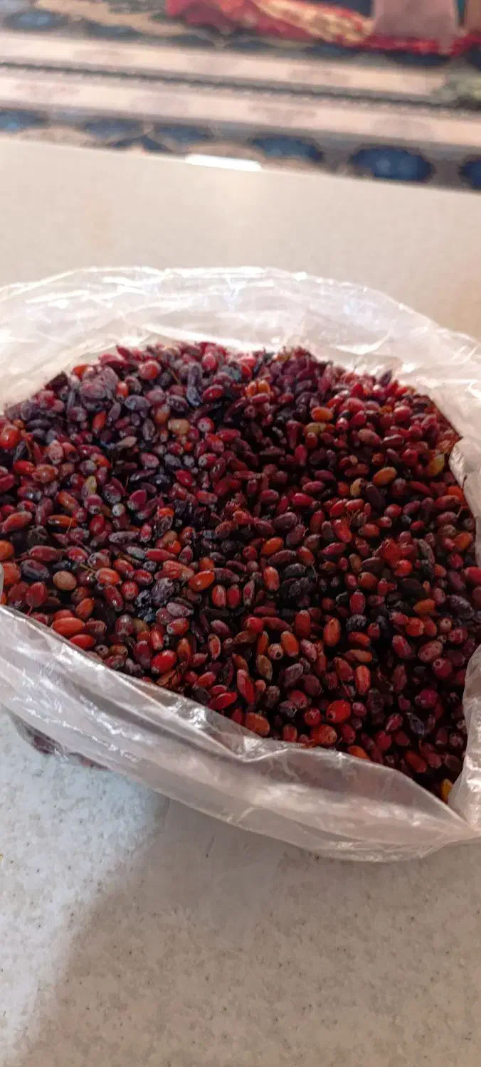 زرشک تر و خشک کوهی محلی و آب زرشک|خوردنی و آشامیدنی|شیراز, شهرک قمشه|دیوار