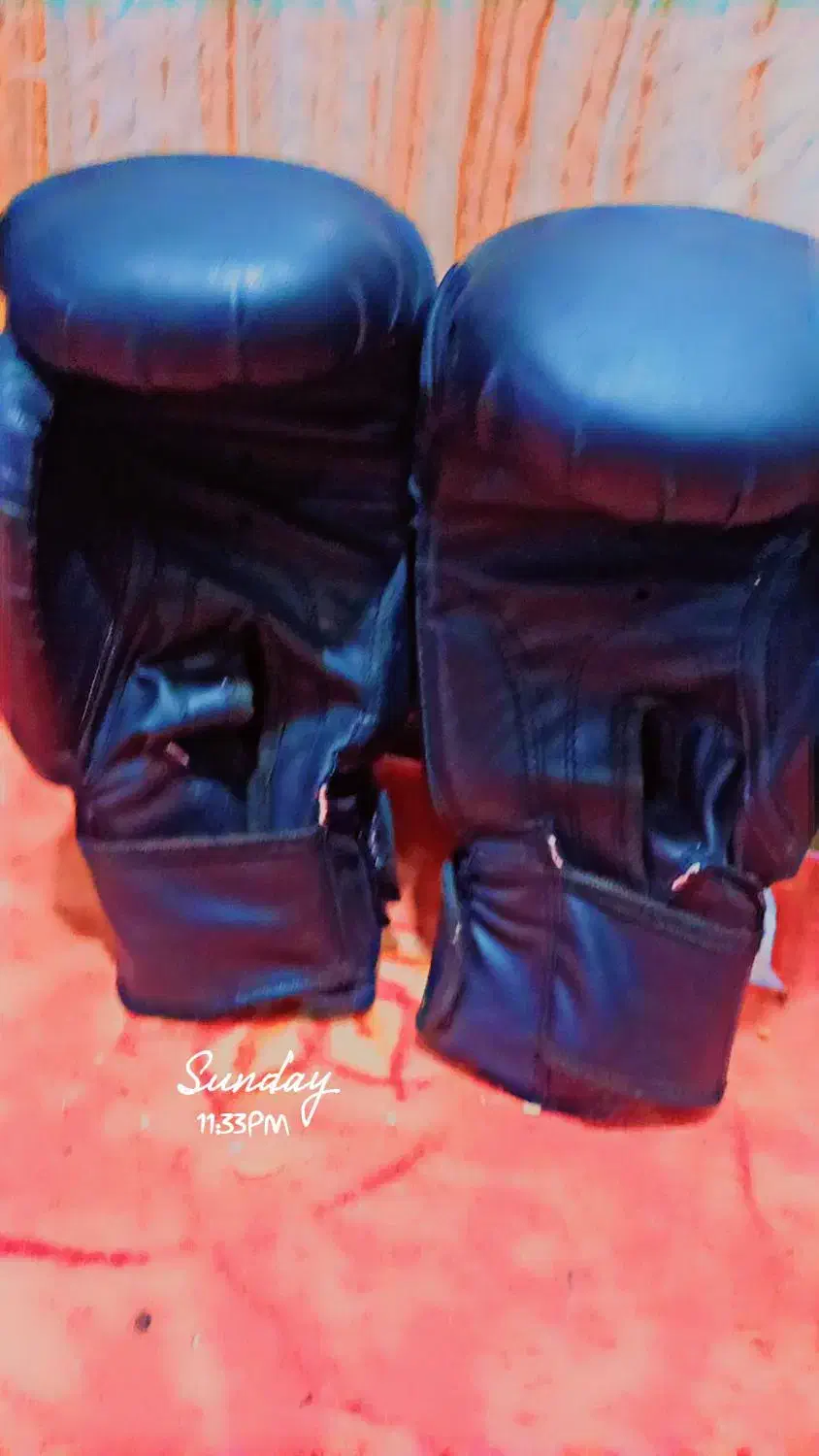 دستکش بوکس|تجهیزات ورزشی|برازجان, |دیوار