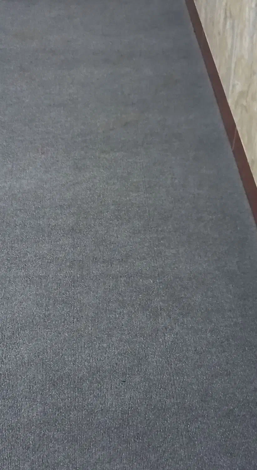 دوعدد کناره طوسی|فرش|جلین, |دیوار