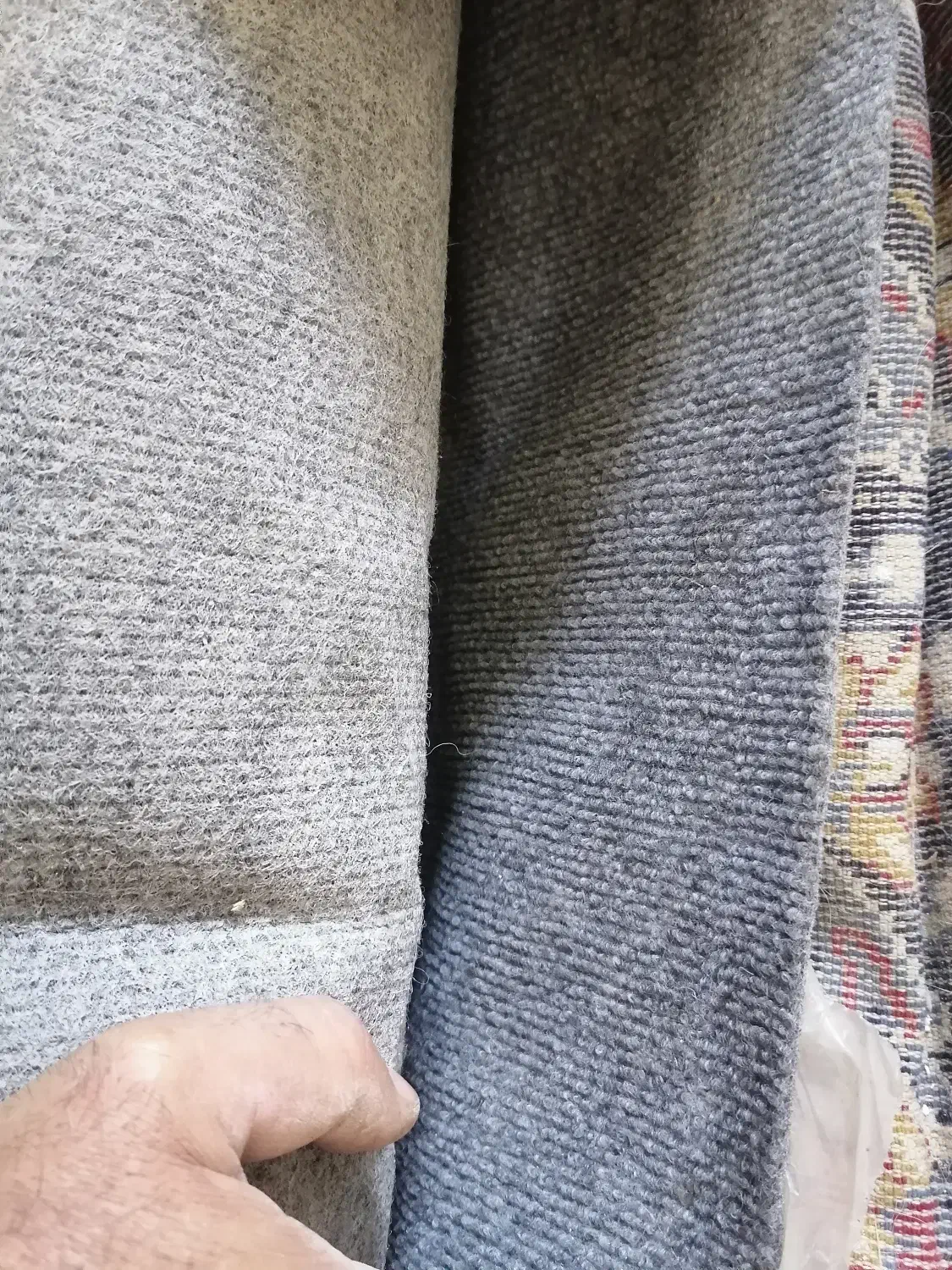 موکت|موکت|قائمشهر, |دیوار