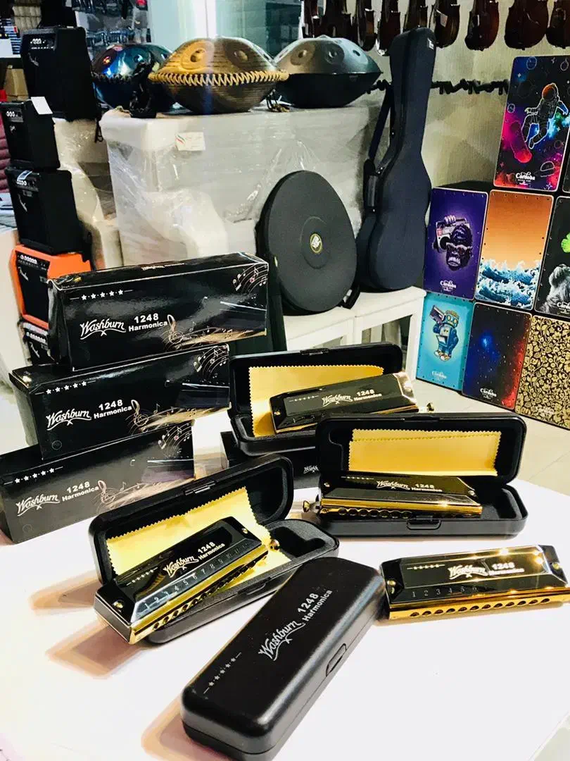 سازدهنی حرفهای کروماتیک|سازهای بادی|شیراز, خلدبرین|دیوار