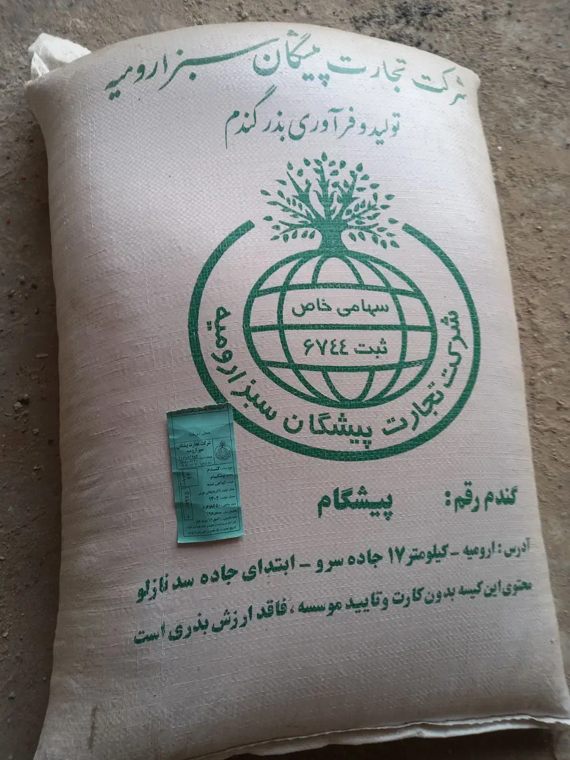 فروش گندم بذری|گل و گیاه طبیعی|نقده, |دیوار