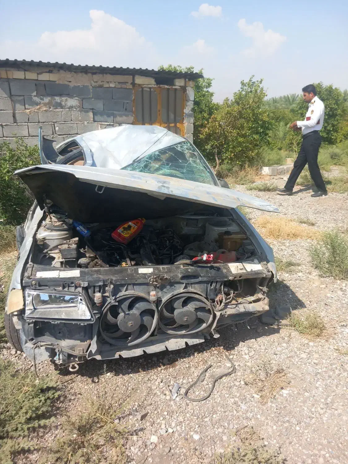 405|خودرو سواری و وانت|ارزوئیه, |دیوار