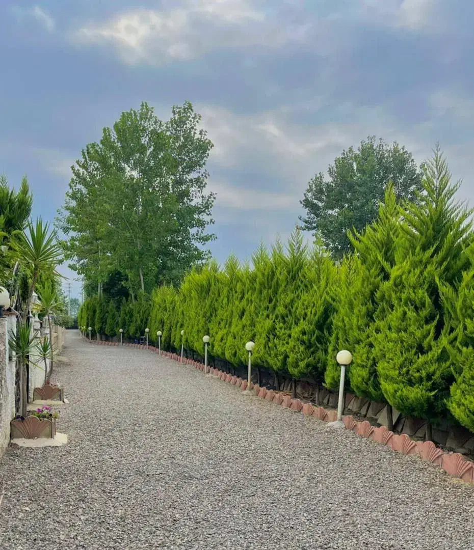 ویلا ۲۰۰متر زمین سنددار /ویو جنگل /حیاط مشجر دلباز|فروش خانه و ویلا|چمستان, |دیوار