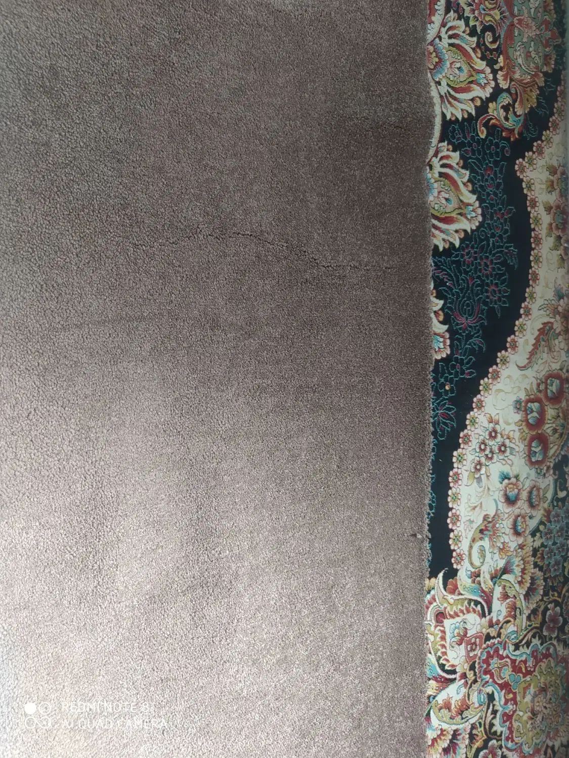 موکت پالاز|موکت|کازرون, |دیوار