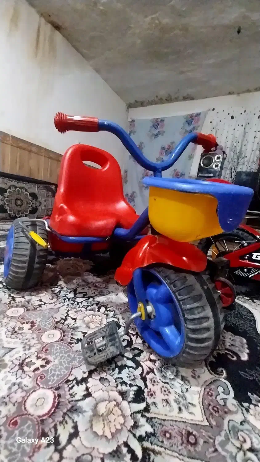 سه چرخه|کالسکه و لوازم جانبی|دلند, |دیوار