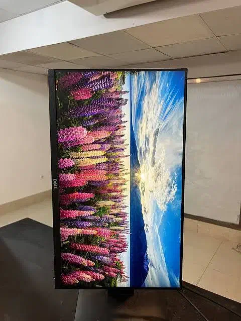 dell P2219H|قطعات و لوازم جانبی رایانه|تهران, ایرانشهر|دیوار