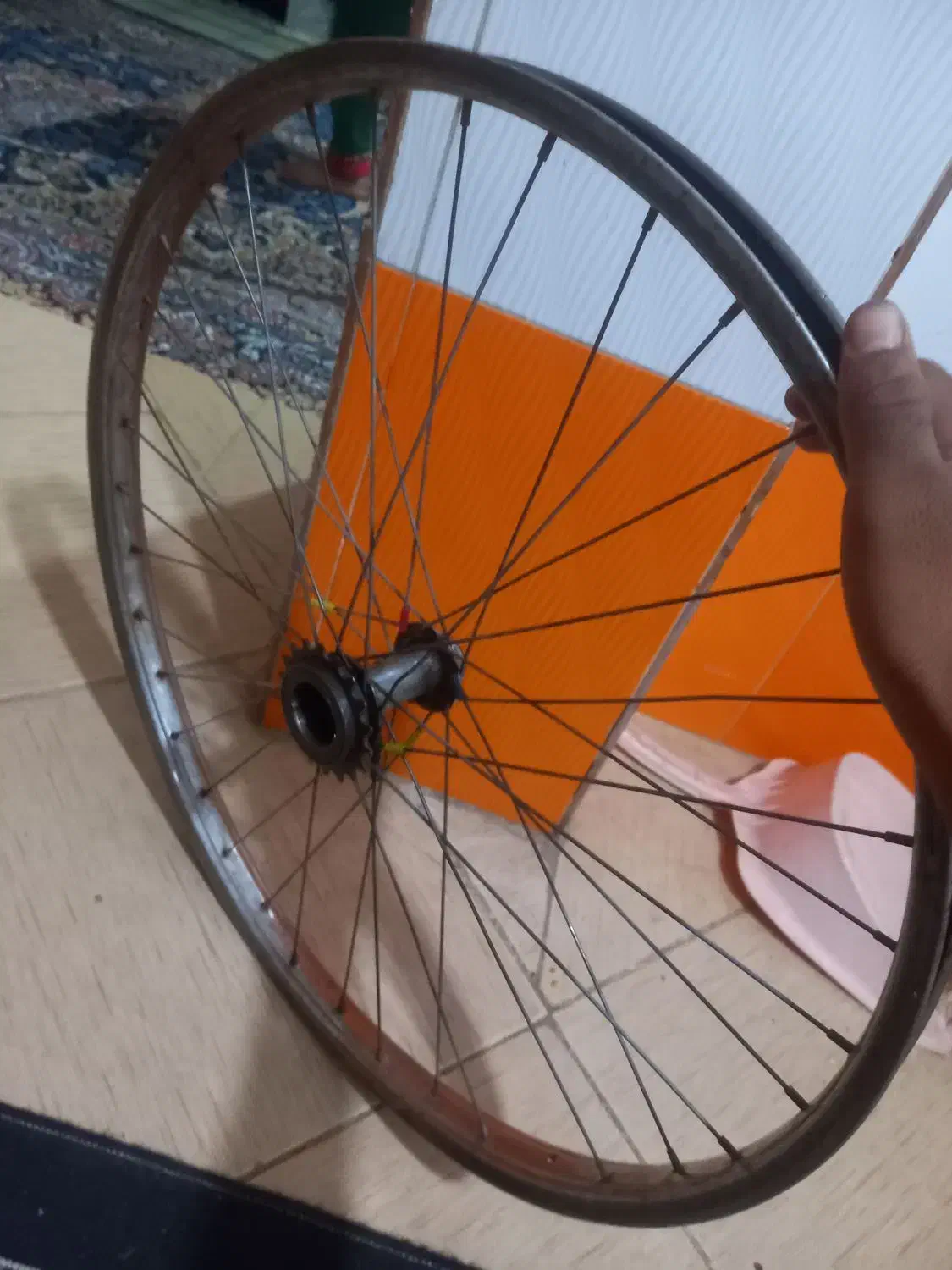 رنگ دوچرخه ۲۶سالم مامله بامرغ عشق دارم|دوچرخه، اسکیت، اسکوتر|ایرانشهر, |دیوار