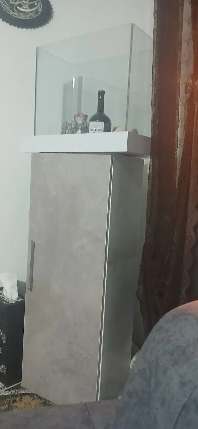 اکواریوم|ماهی|سنندج, |دیوار