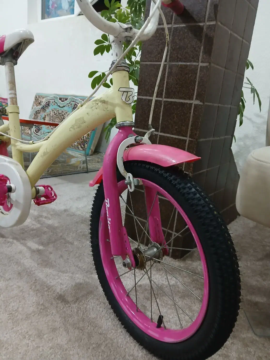 دوچرخه ۱۶|دوچرخه، اسکیت، اسکوتر|بوشهر, |دیوار