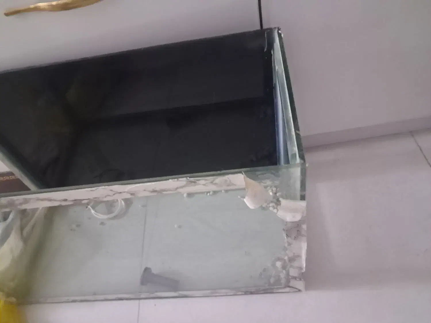 آکواریوم با تمام تجهیزات|ماهی|اندیشه, اندیشه فاز ۵|دیوار