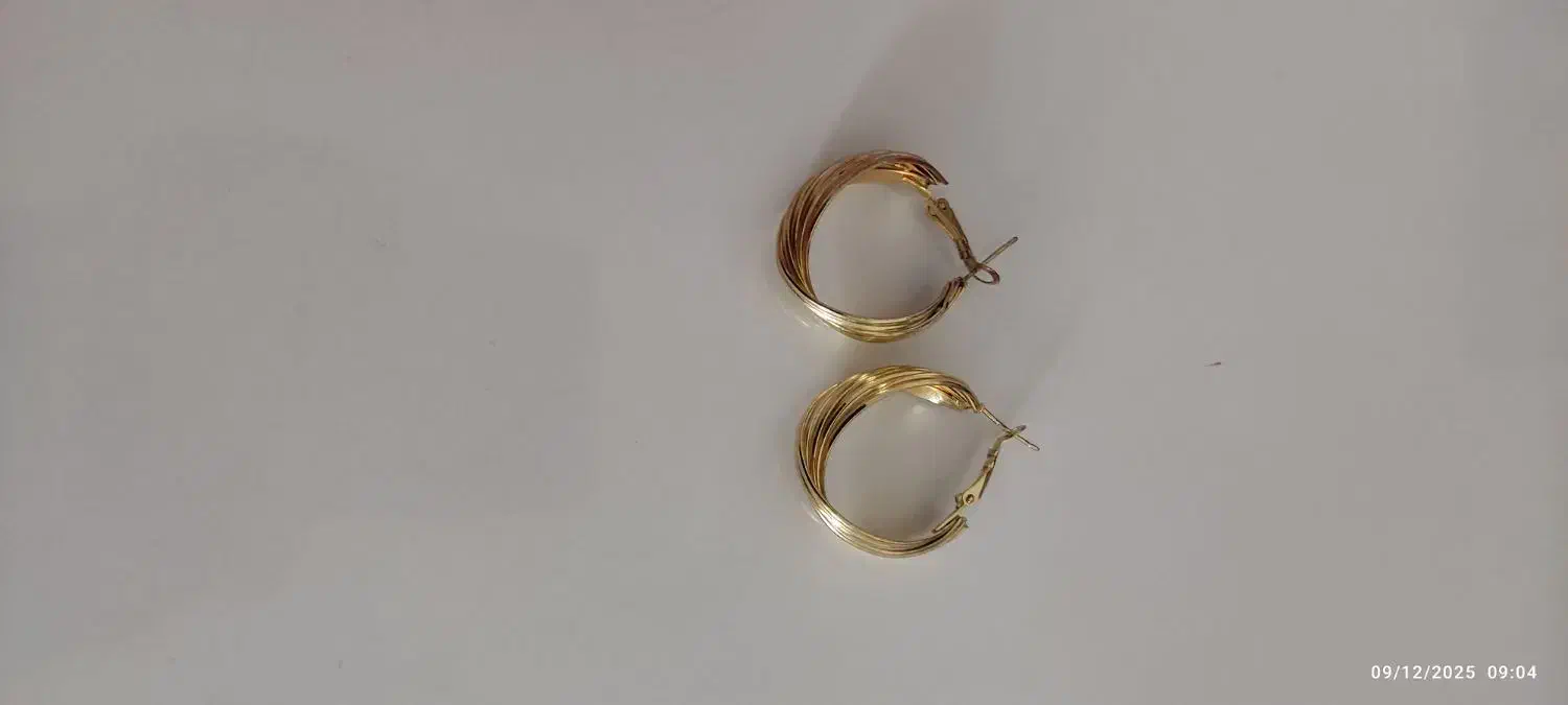 دو جفت گوشواره|بدلیجات|گلبهار, شهر جدید گلبهار|دیوار