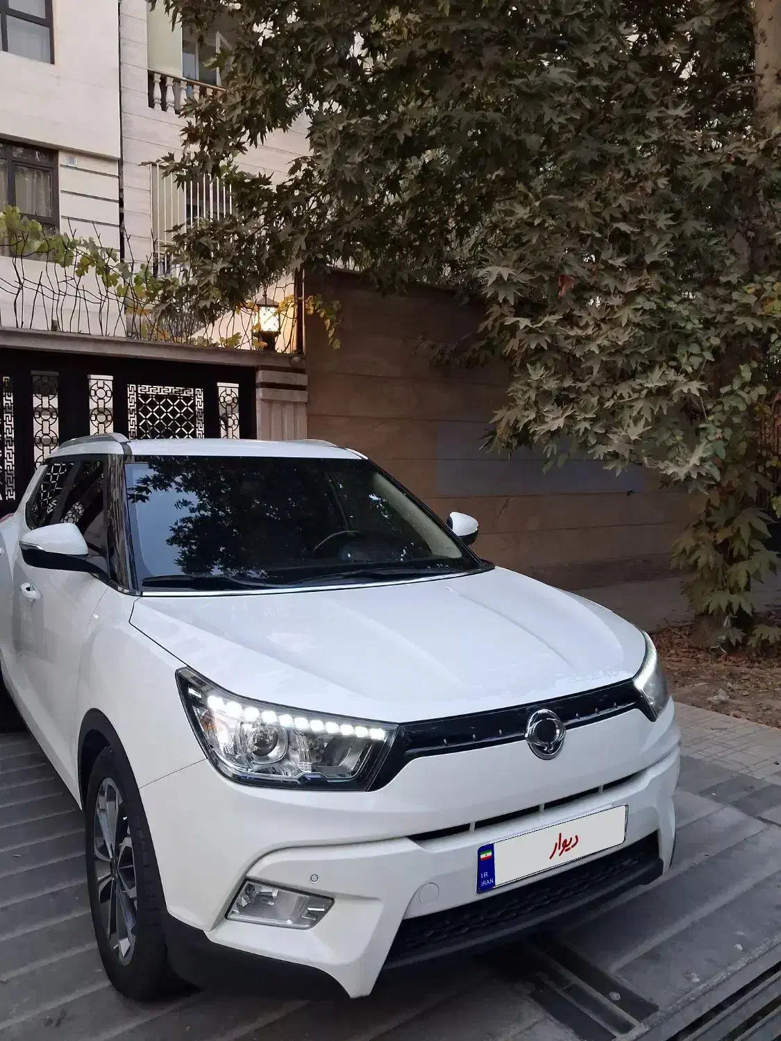 بی نظیرترین تیوولی فول|خودرو سواری و وانت|تهران, چوب تراش|دیوار