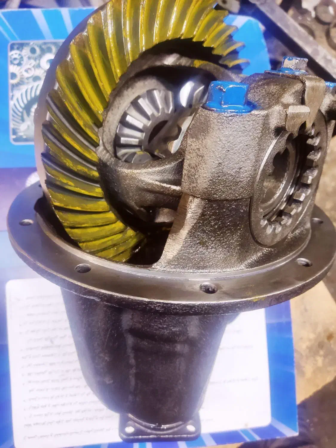 کله گاوی  مزدا ۱۶۰۰و ۲۰۰۰دفرانسیل|عمده‌فروشی|مشهد, ثامن|دیوار