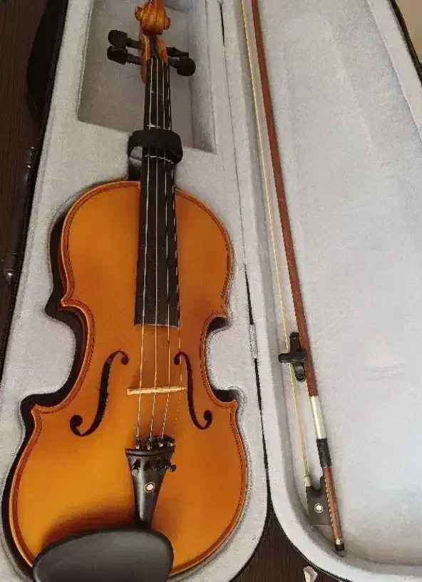 ویولن آموزشی مخصوص هنرجو|ویولن|شهرکرد, |دیوار