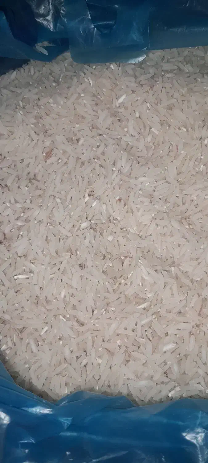 برنج فجر سوزنی خوش عطر|عمده‌فروشی|دامغان, |دیوار