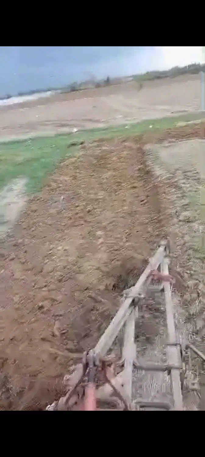 خدمات کشاورزی|خدمات باغبانی و درختکاری|کردکوی, |دیوار