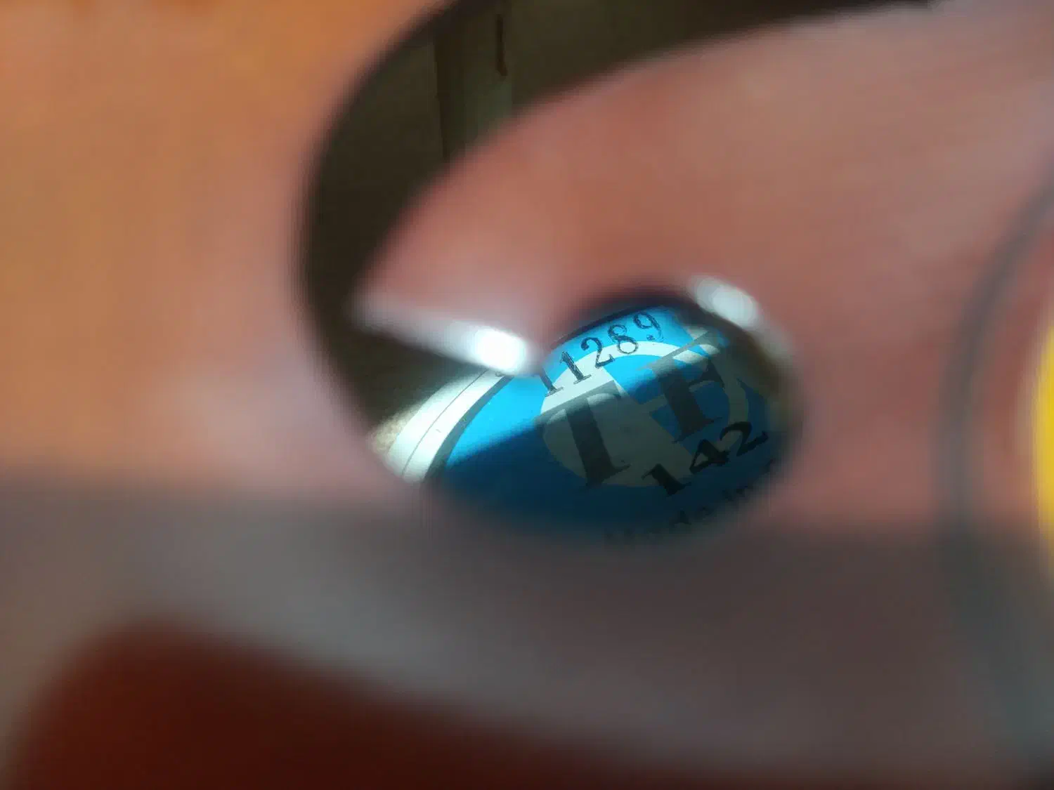 ویولن هنرجویی TF + سیم Pirastro + لوازم کامل|ویولن|کرج, کوی کارمندان جنوبی|دیوار