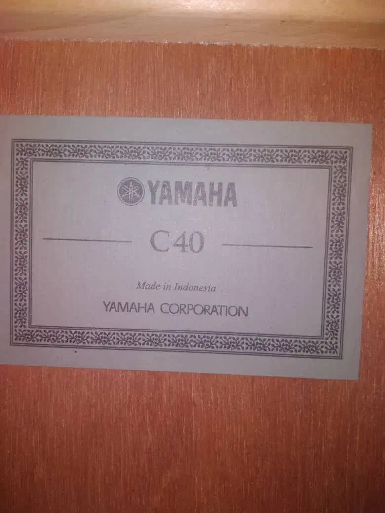 گیتار c40|گیتار، بیس، امپلیفایر|شوش, |دیوار