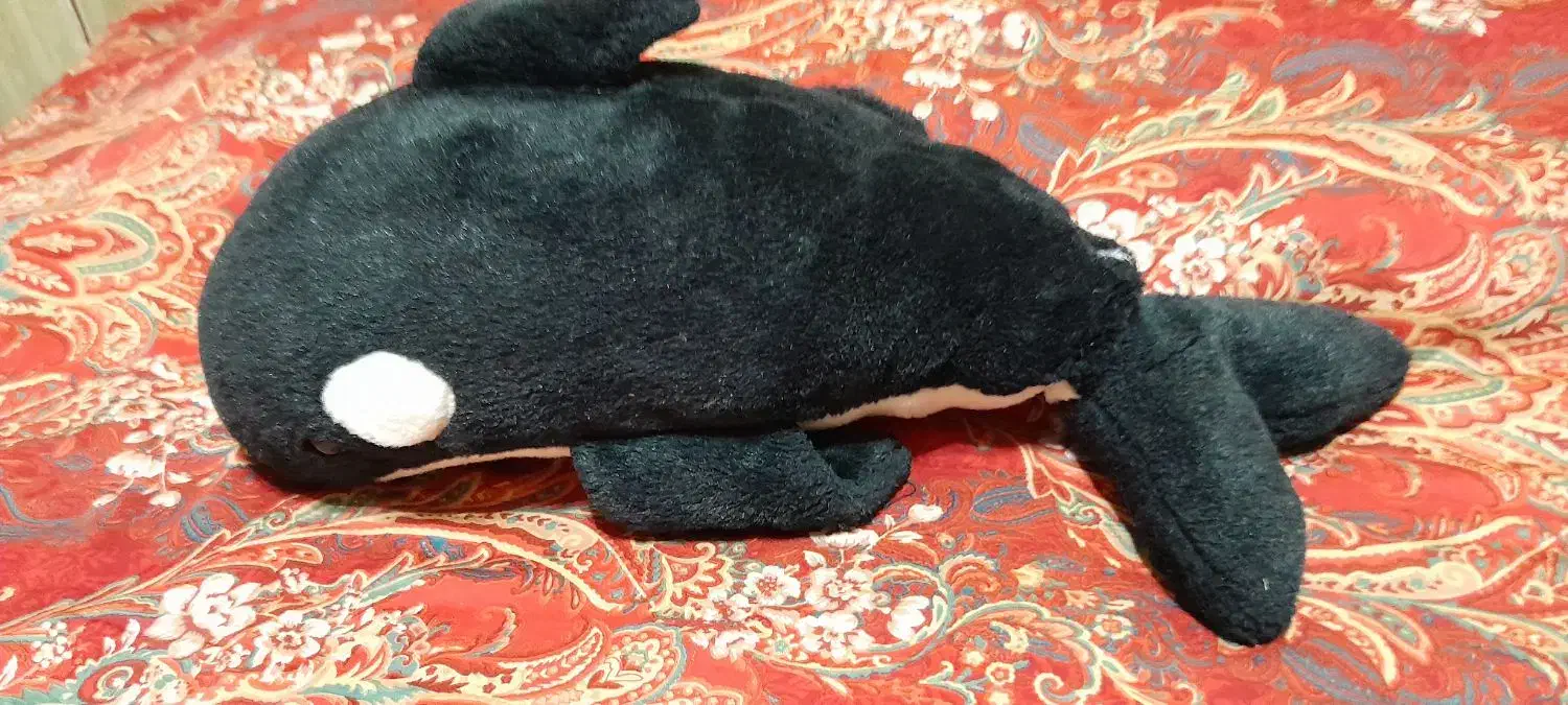 اسباب بازی|اسباببازی|کهریزک, |دیوار