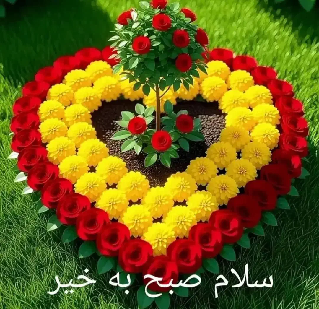 نیازمند سرمایه|فعالیت داوطلبانه|کازرون, |دیوار