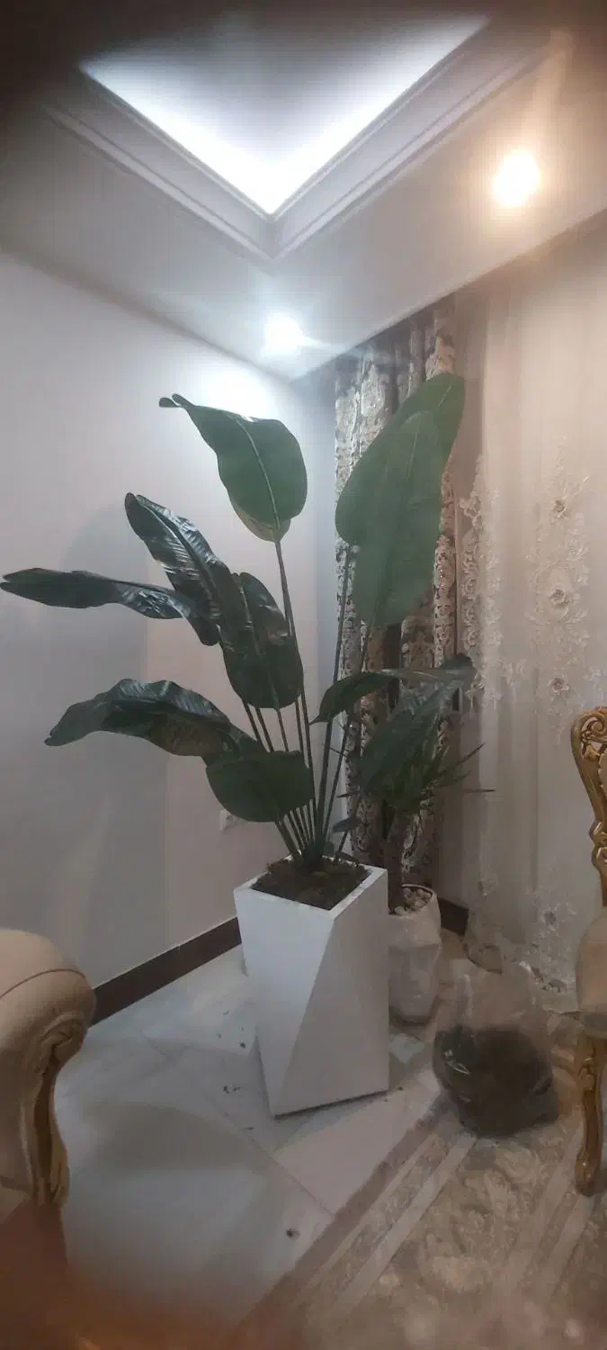 درختچه تزیینی|گل مصنوعی|نظرآباد, رسالت|دیوار