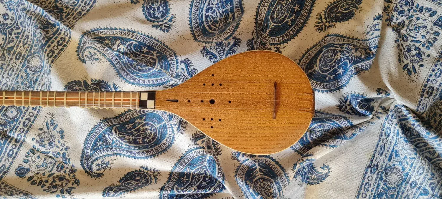 سه‌تار استاد پژمان همراه هاردکیس و هدیه|سازهای سنتی|اصفهان, ملک‌شهر|دیوار