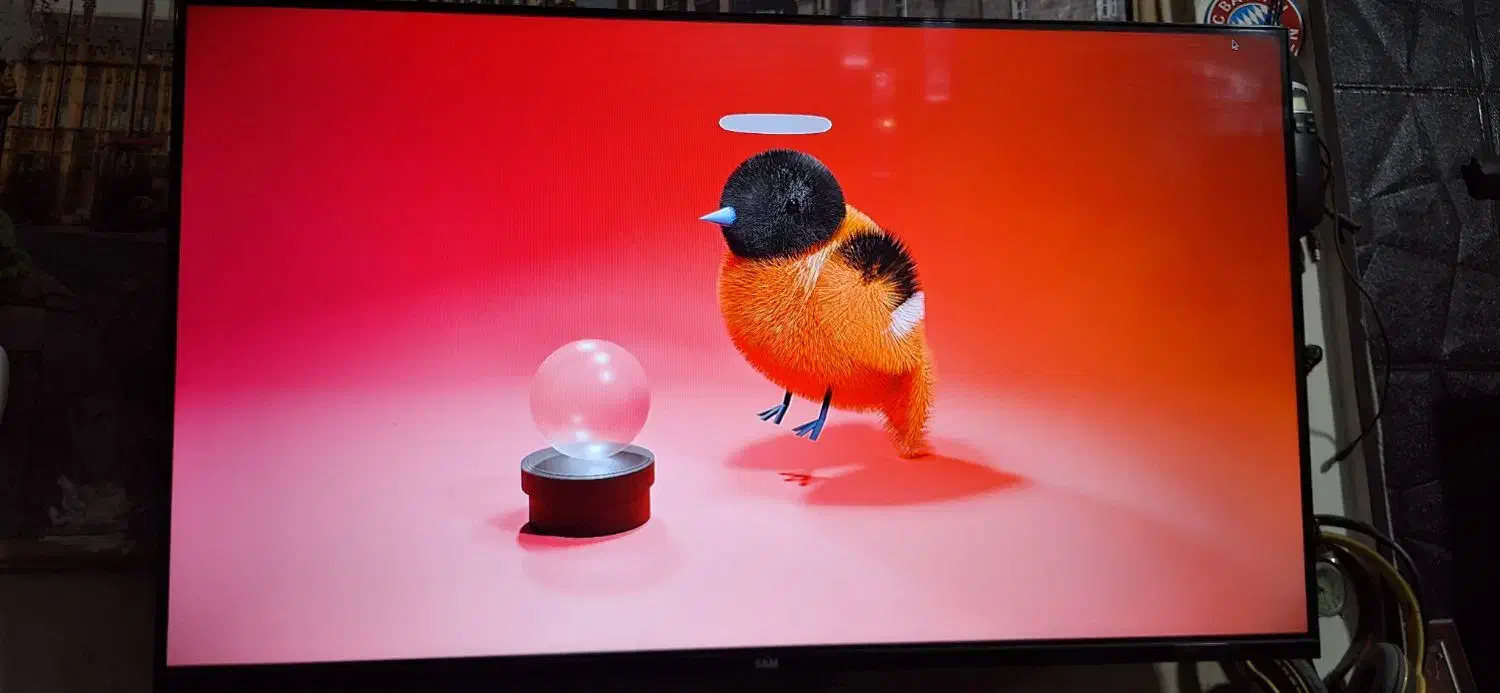 تلویزیون ۴۳ سام|تلویزیون و پروژکتور|مشهد, کوشش|دیوار